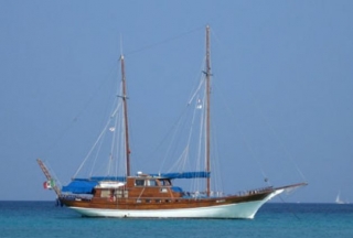 Non solo Charter 